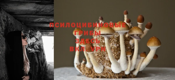 2c-b Лабытнанги
